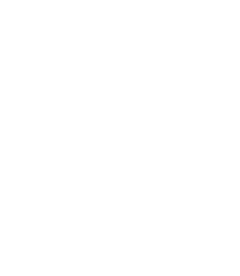 logo rdvf